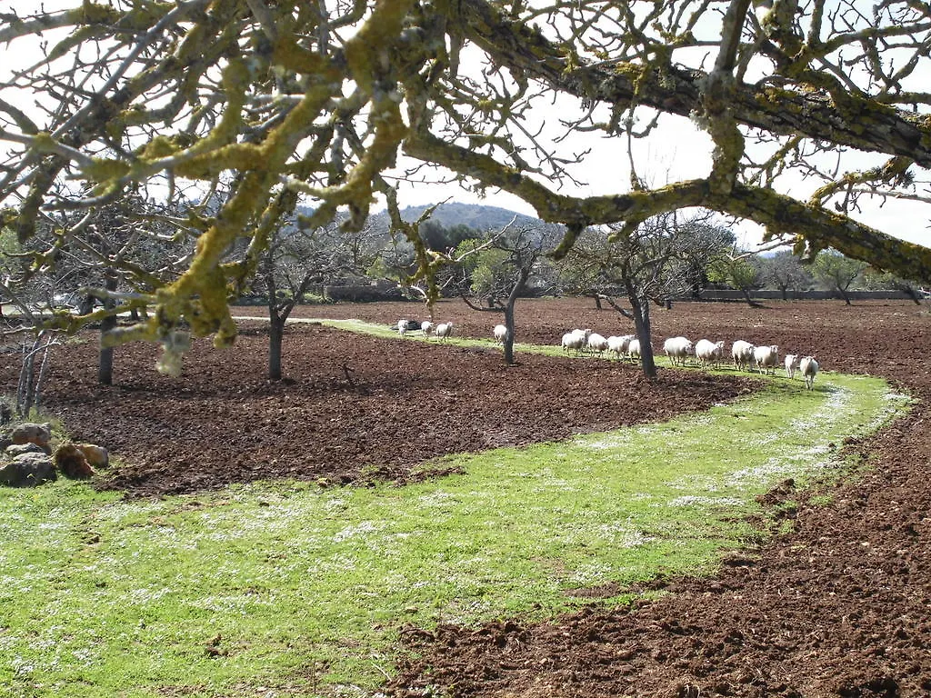 Agroturismo Na Set Centes Villa Arta