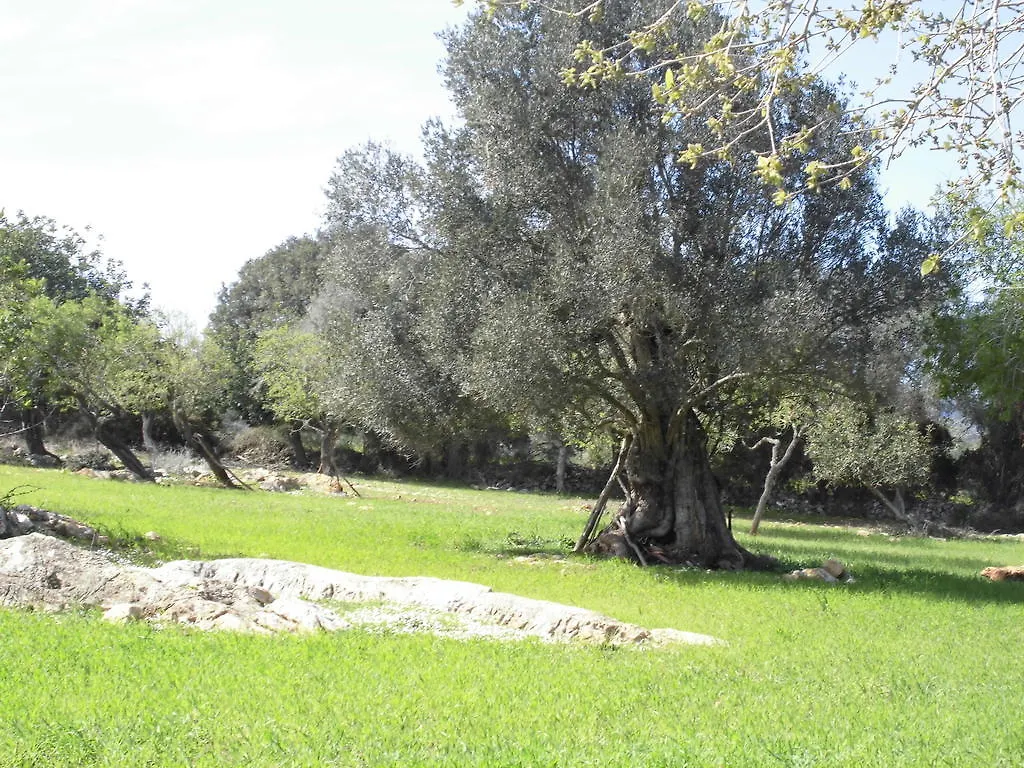 Hotel Agroturismo Na Set Centes Villa Arta