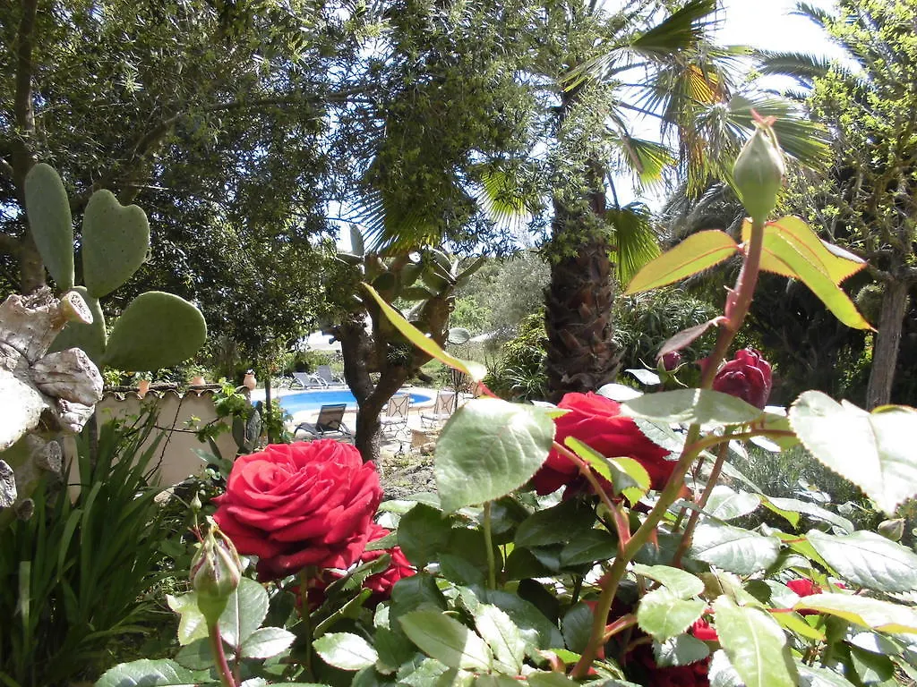Agroturismo Na Set Centes Villa Arta 3*,