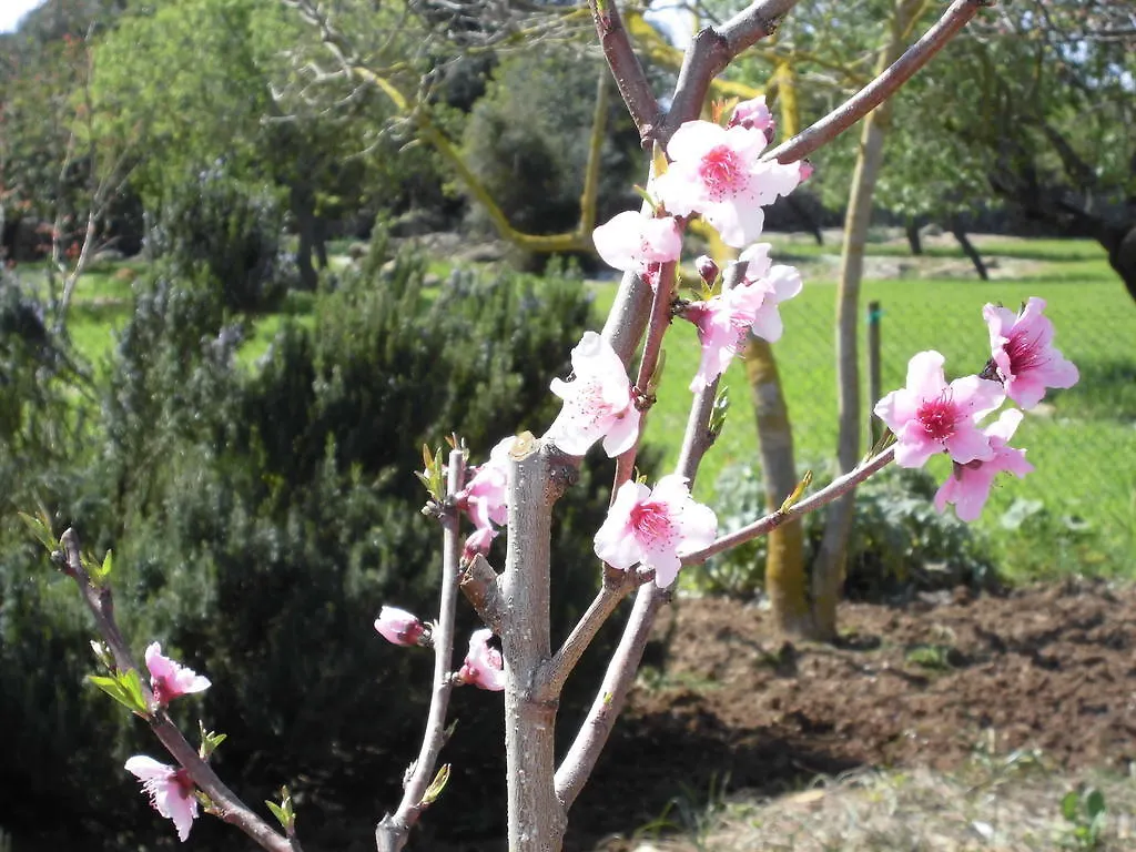 Agroturismo Na Set Centes Villa Arta